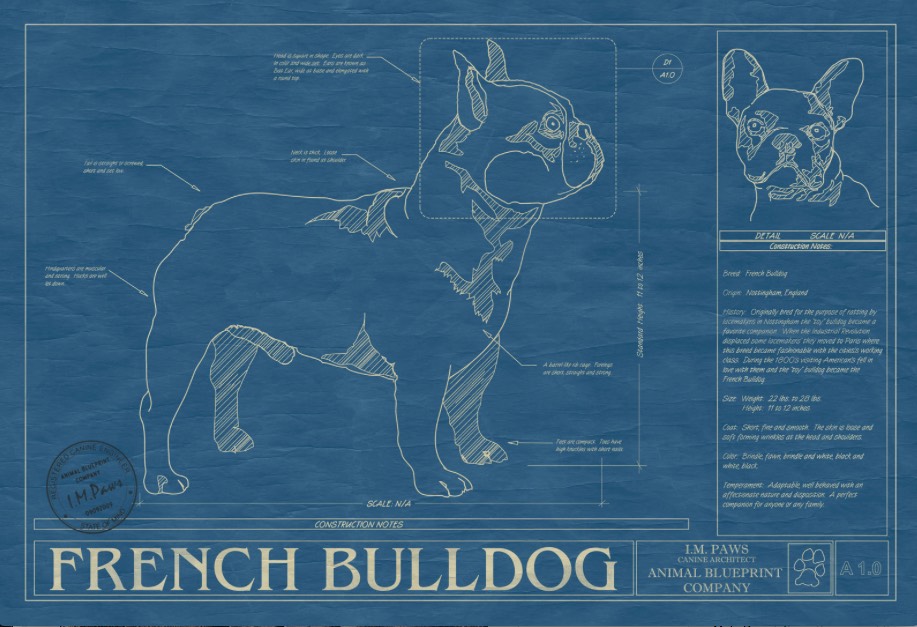 French Bulldog Blueprint